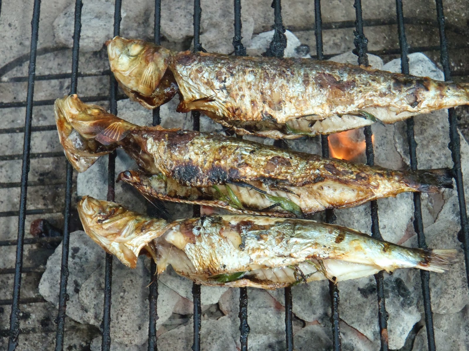 The Food Pope Sardines for Health, Happiness, and the Environment