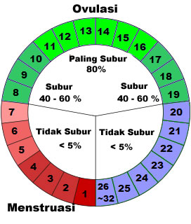 Cara menghitung masa subur wanita agar cepat hamil