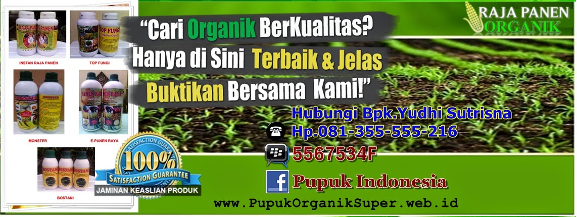 Distributor Pupuk Organik, jual pupuk organik cair, pupuk Npk organik, Pupuk murah 0856-5423-7113