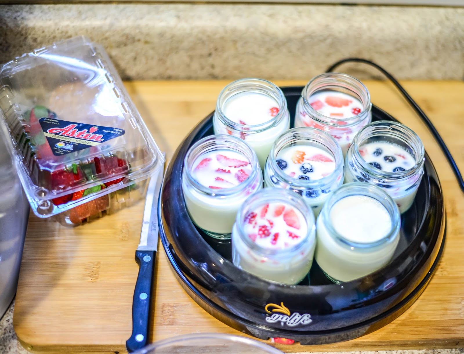 Tribest Yolife Yogurt Maker Creative Little Carrie