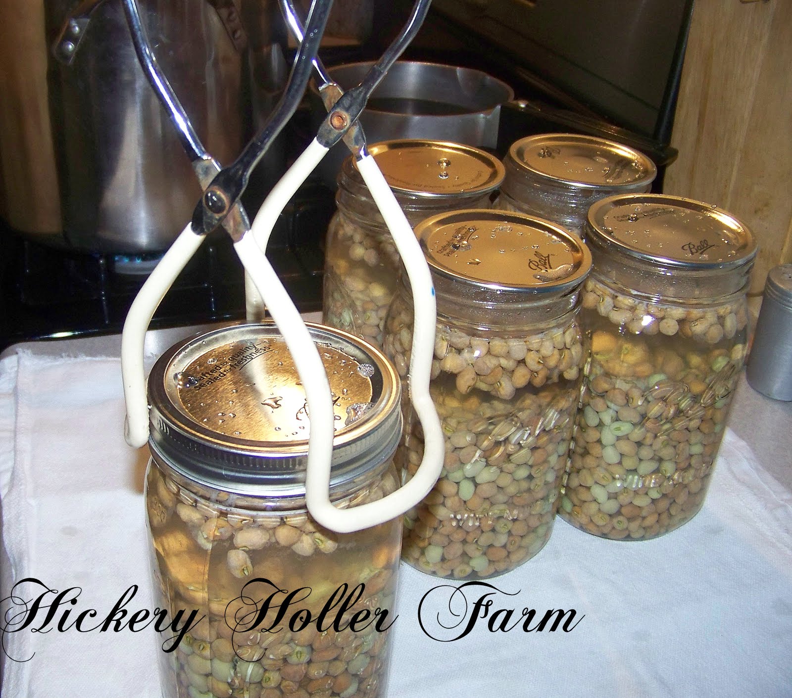 Hickery Holler Farm Canning Field Peas