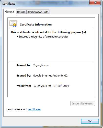 Как выглядит Wildcard Certificate.