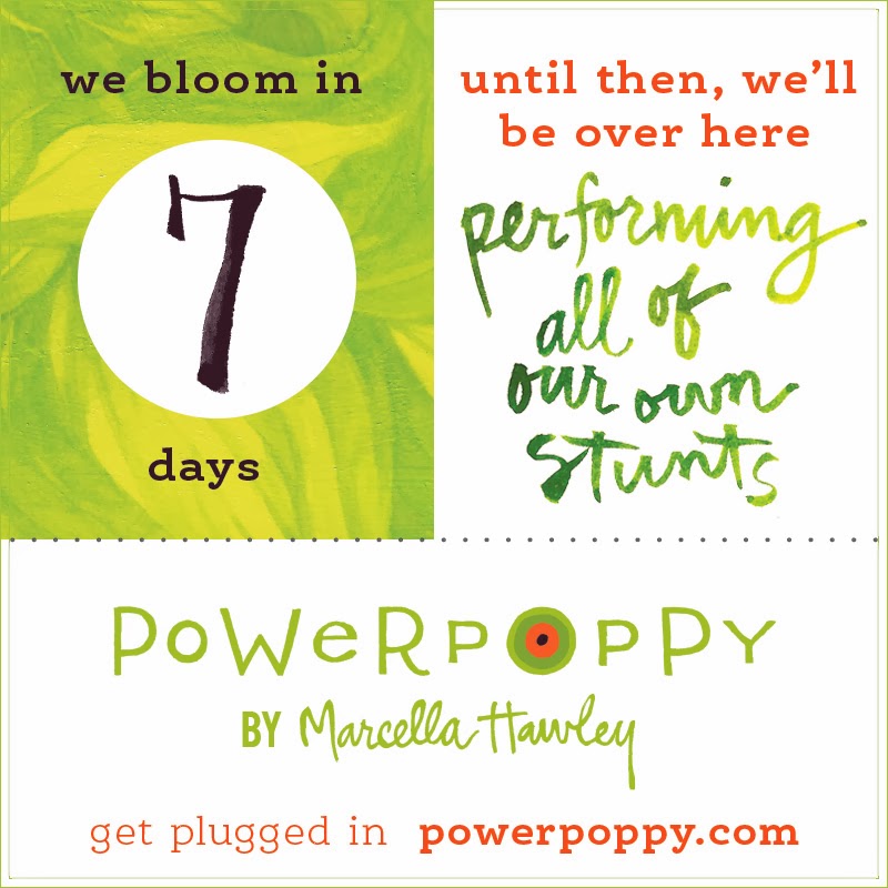 http://powerpoppy.com/