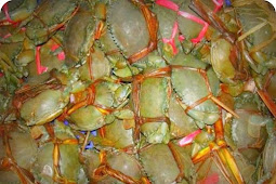 Karantina Bali Gagalkan Penyeludupan 160 Kepiting dari Timika yang Bertelur