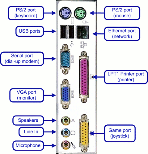 Different Types of computer connectors - IK Studies Series