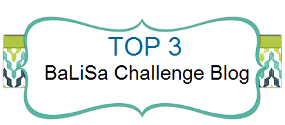 Top 3 12/2016 bei BaLiSa Challenge Blog