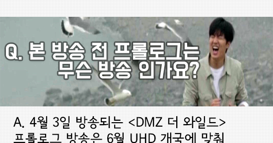 minozDee: A kinder guidebook of DMZ The Wild