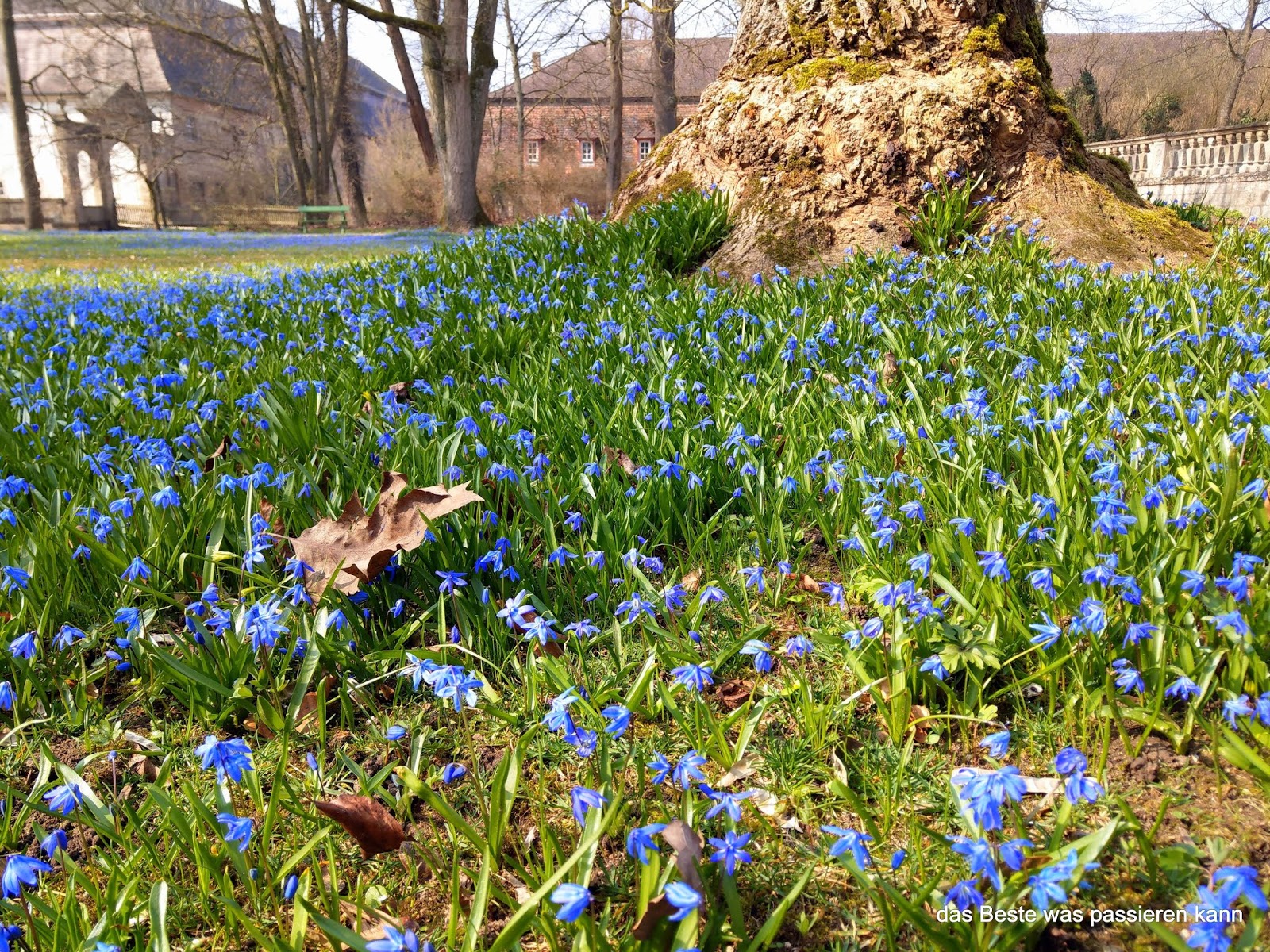 Mogelmami Kurbis Ricotta Gnocchi Mit Bergkase