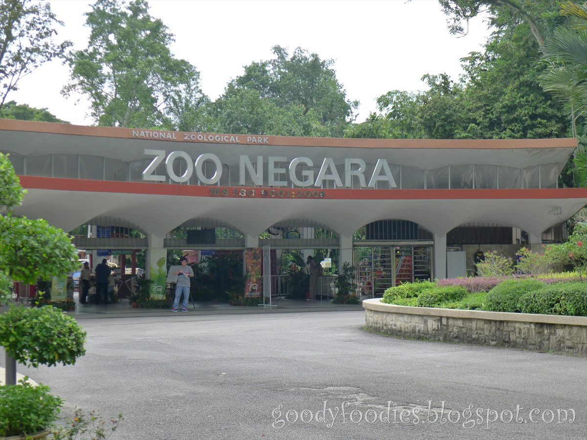 GoodyFoodies: Fun with Kids: Zoo Negara Malaysia