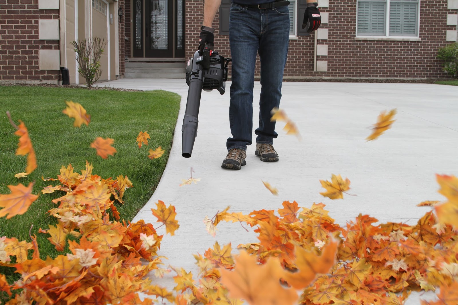 Leaf Removal Service Lawn and Landscaping in DC, Maryland and Virginia