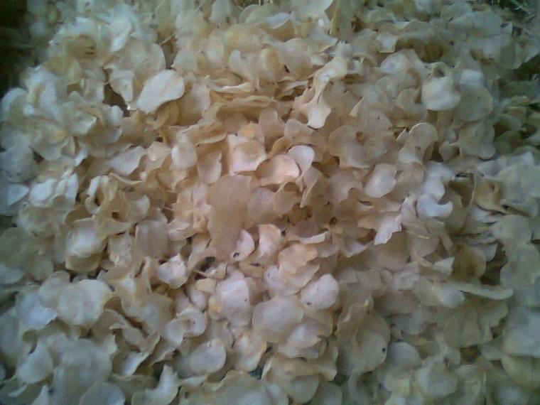 Prakarya Fighting Makanan Setengah Jadi Dari Umbi Serealia Dan Kacang Kacangan