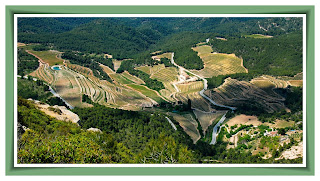 Barranc del Mas del Racó. Parc Natural del Montsant