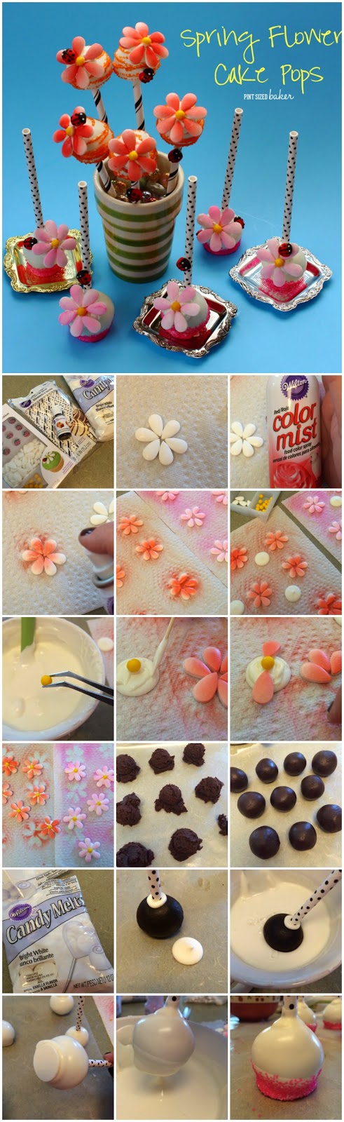 Step by step instructions to make easy flower cake pops. 