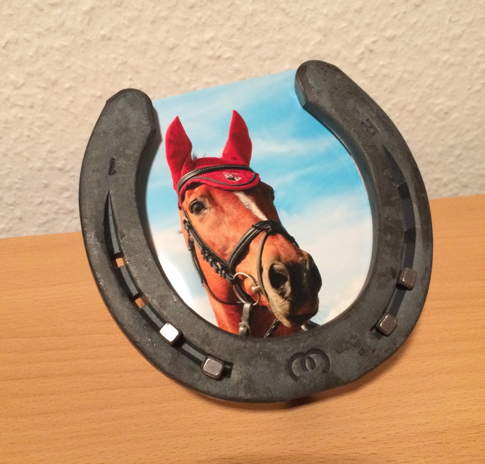 Lieblingspferd Diy Hufeisenbilderrahmen Selber Machen