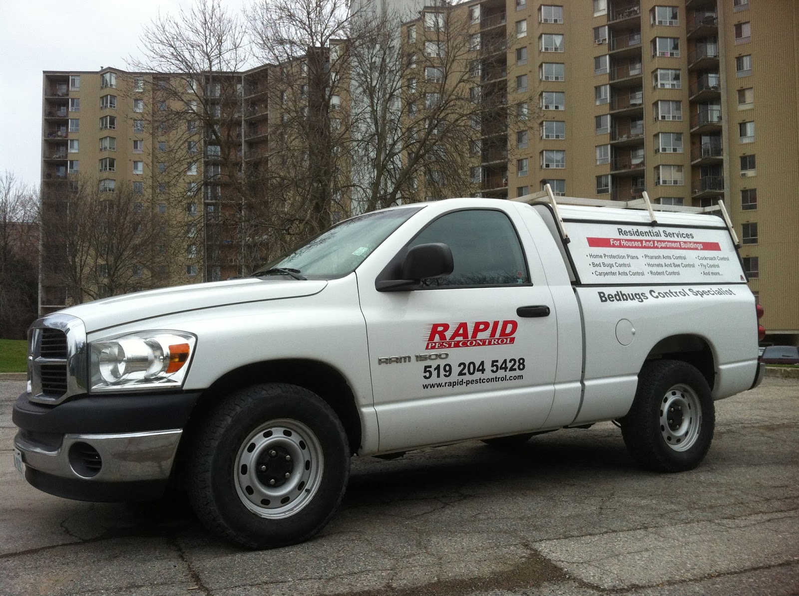 London Ontario Pest Control london ontario pest control