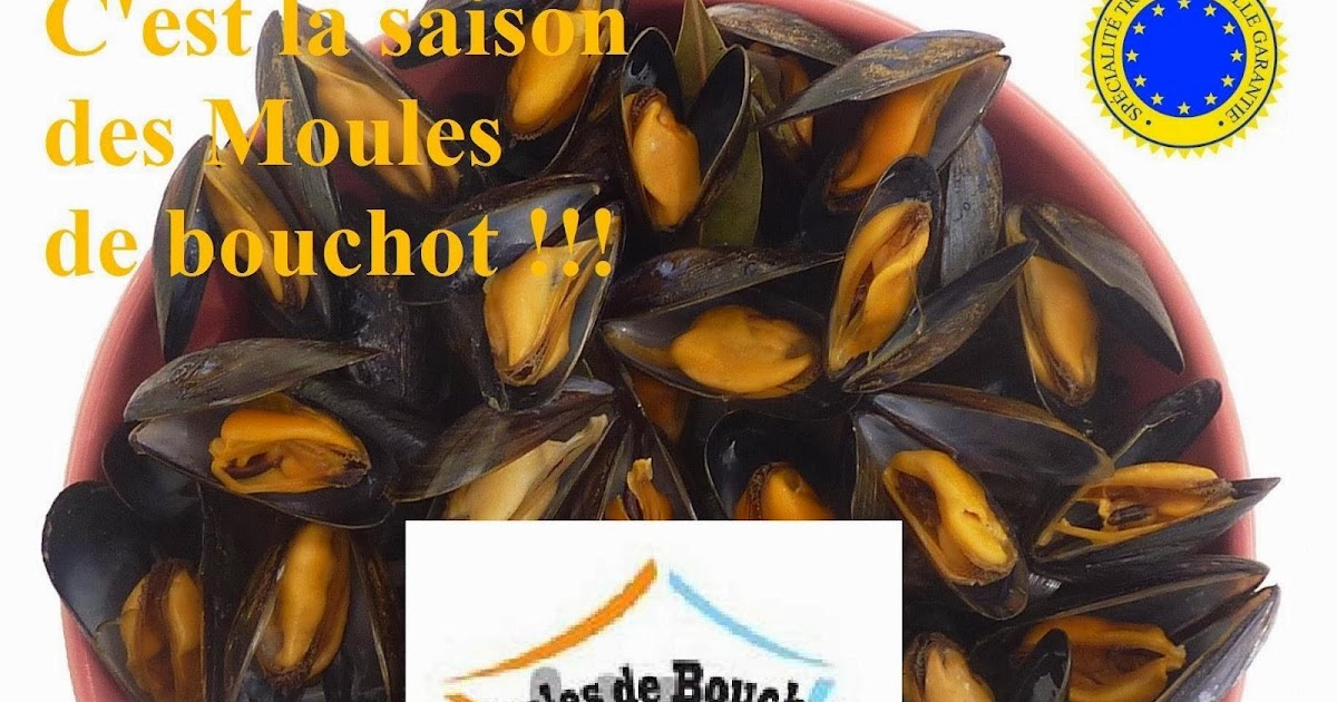 Moule De Bouchot Recettes Du Succes Des Moules Marinieres
