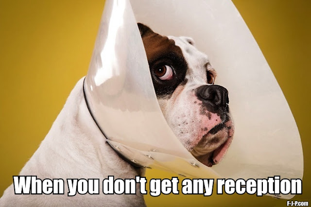 Funny Dog Satellite Dish No Reception Fail Joke Picture
