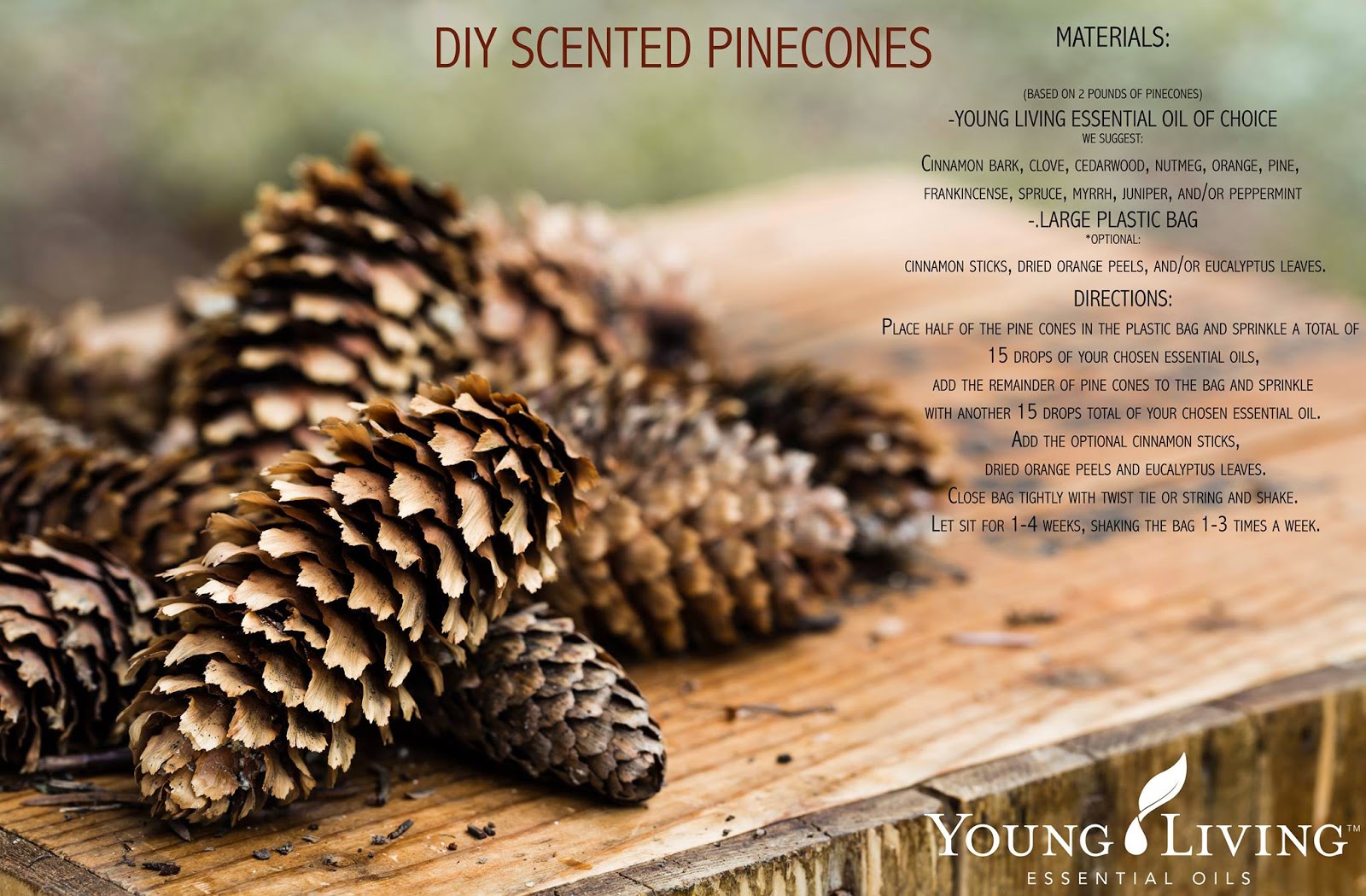 Holistic Pets & Peeps DIY Scented Pine Cones!
