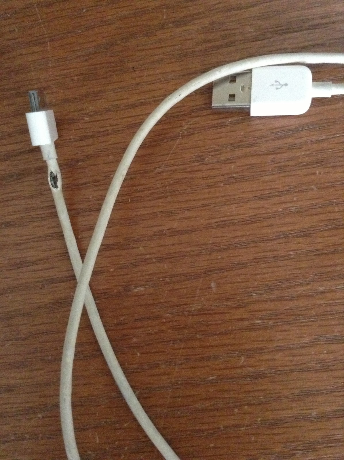 Cavy Savvy A Guinea Pig Blog Warning About Guinea Pigs and Wires