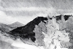 monet claude drawings charcoal drawing easy sketches paintings pencil nature vine koch philip