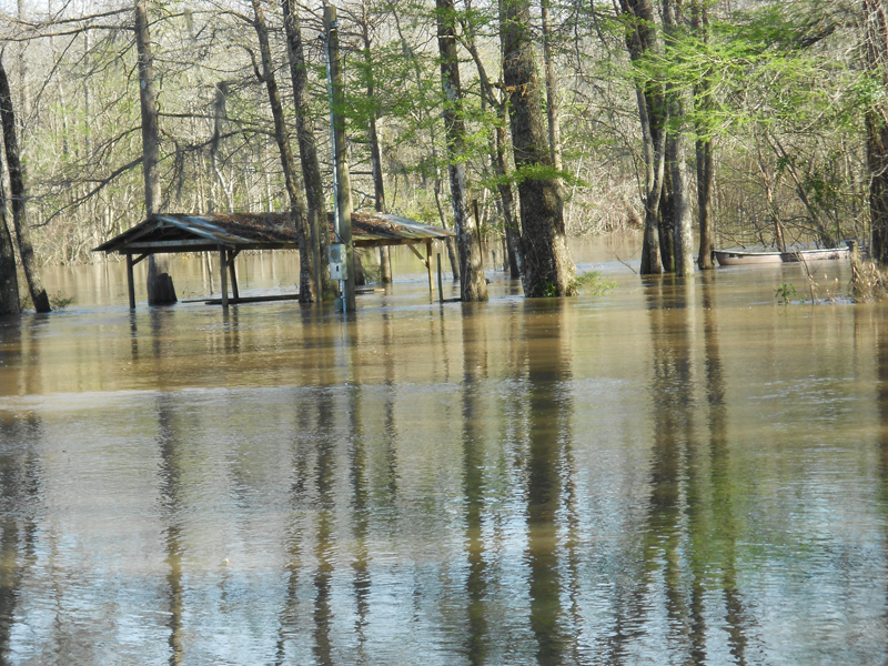 Sandcastle Momma Choctawhatchee River Flooding