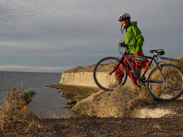 Visitar PUERTO MADRYN, a porta de entrada para conhecer um observatório da vida animal | Argentina