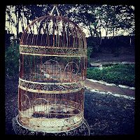 Human Sized Bird Cage