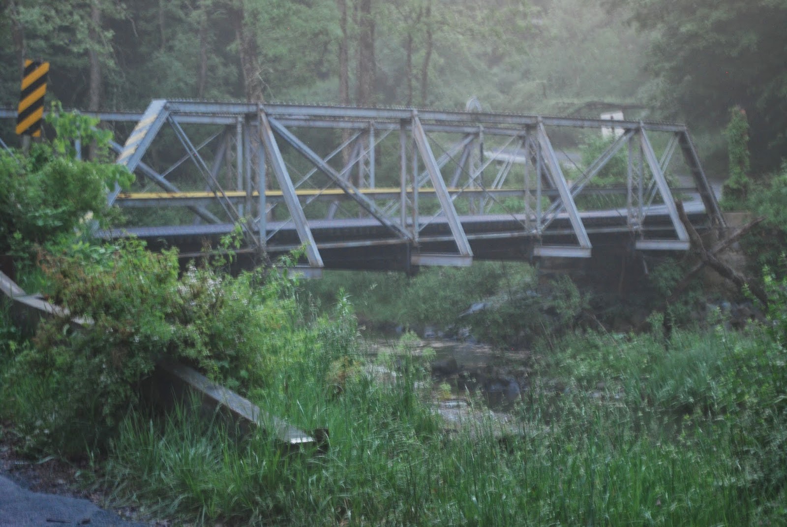 Litton's Fishing Lines Fly Fishing the Big Flatbrook