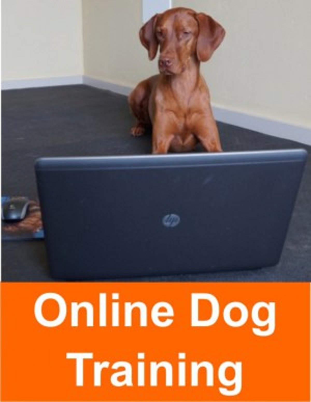 Tips about Online Dog Training Doglopedix