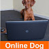 Tips about Online Dog Training