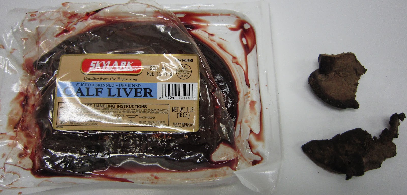 Amy Brown Science FREEBIE! Catalase An Enzyme Common to Both Plants