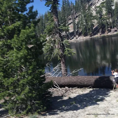 Starkweather Lake shuttle stop at Devils Postpile National Monument in Mammoth Lakes, California