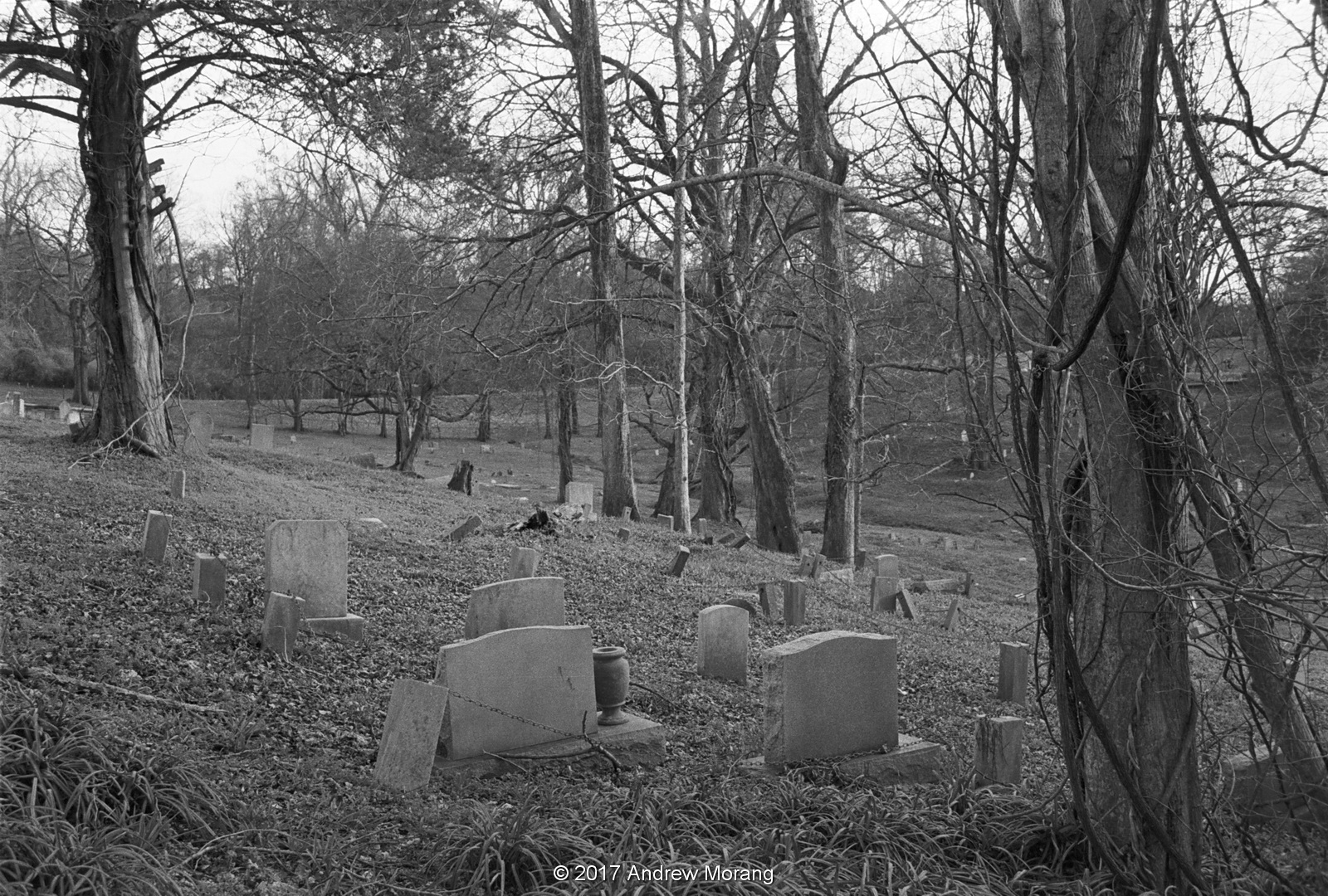 Urban Decay Testing a 35mm SuperTakumar lens in Beulah Cemetery and