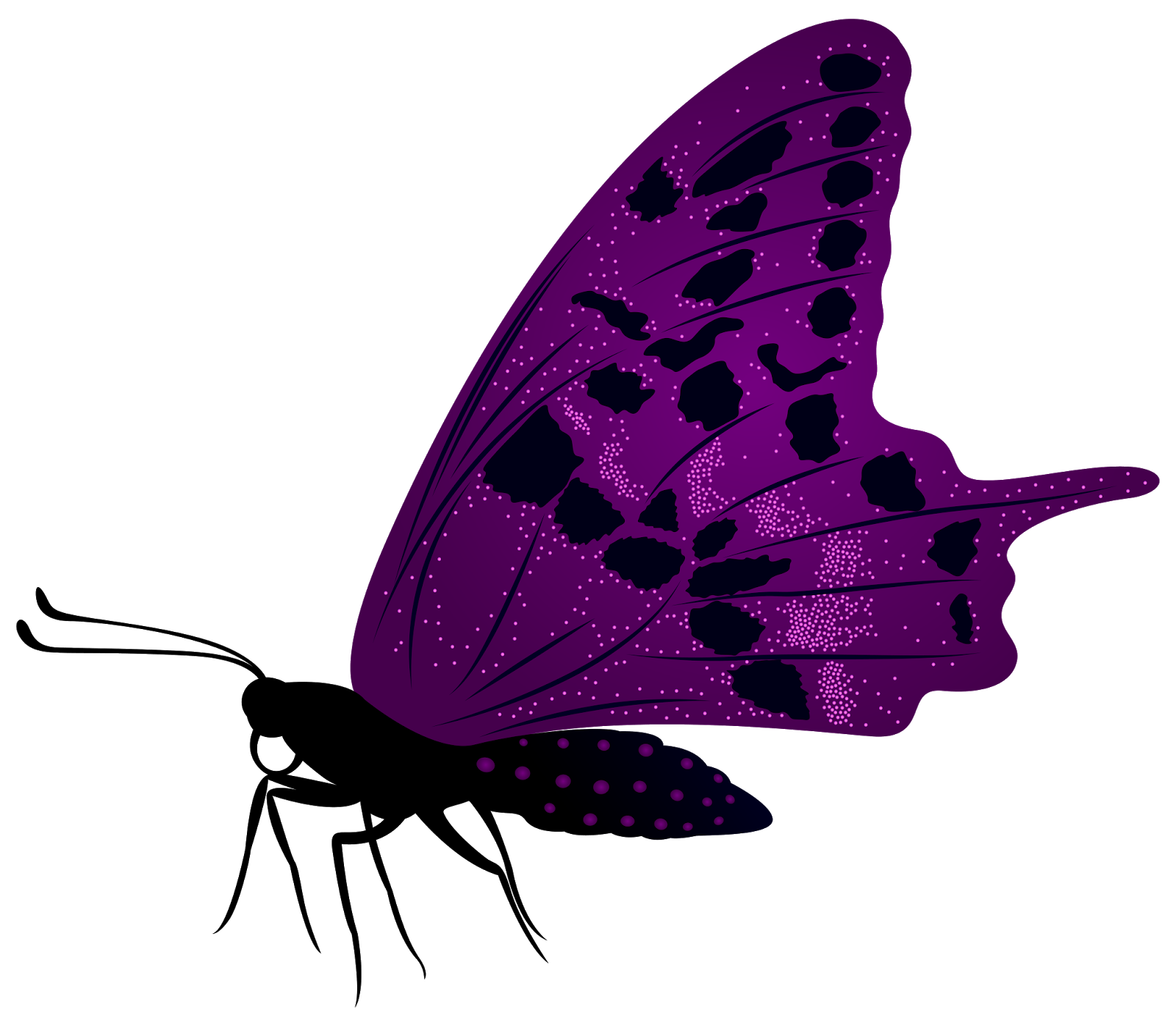 Картинки без фона. Сиреневые бабочки на прозрачном фоне. Фиолетовые бабочки на прозрачном фоне. Фиолетовая бабочка без фона. Бабочки фиолетовые клипарт.