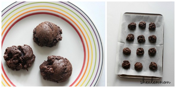 Tried it: Brownie Cookies | www.shealennon.com