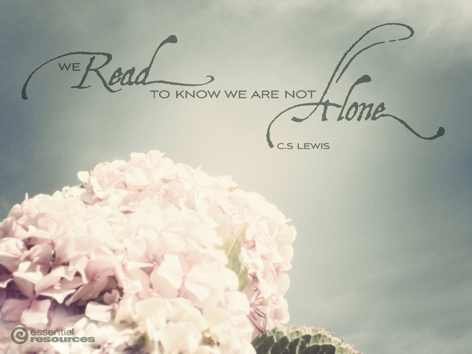 hd-wallpapers-hd: Desktop Wallpaper Maker Free