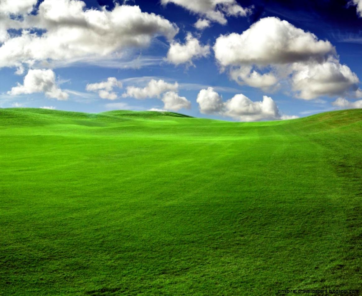 Pc Wallpaper Windows Xp Field Wallpaper Hq Backgrounds Hd  HD