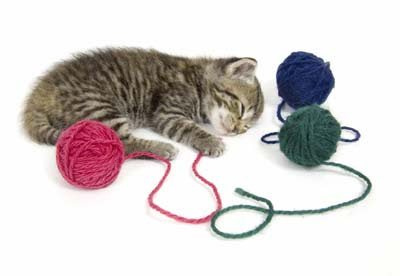 Yarn Cat Toys 109