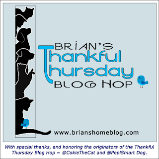 Brian's Thankful Thursday blog hop badge.