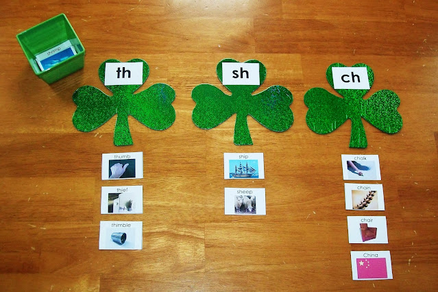 Shamrock TH,SH, & CH Sorting