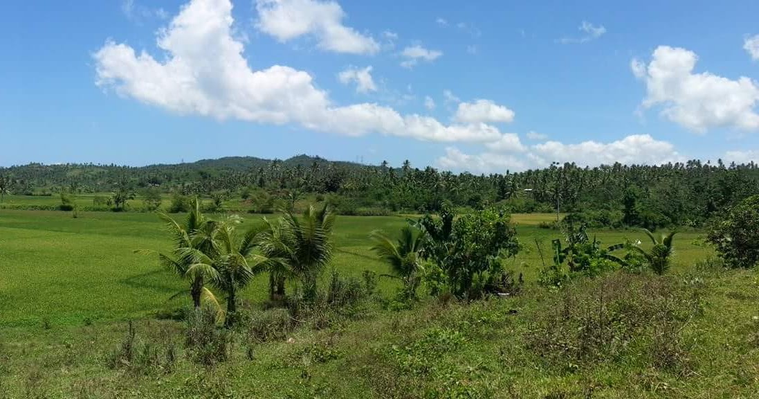 Agricultural Land for Sale in Villaba, Leyte Leyte Cebu Properties