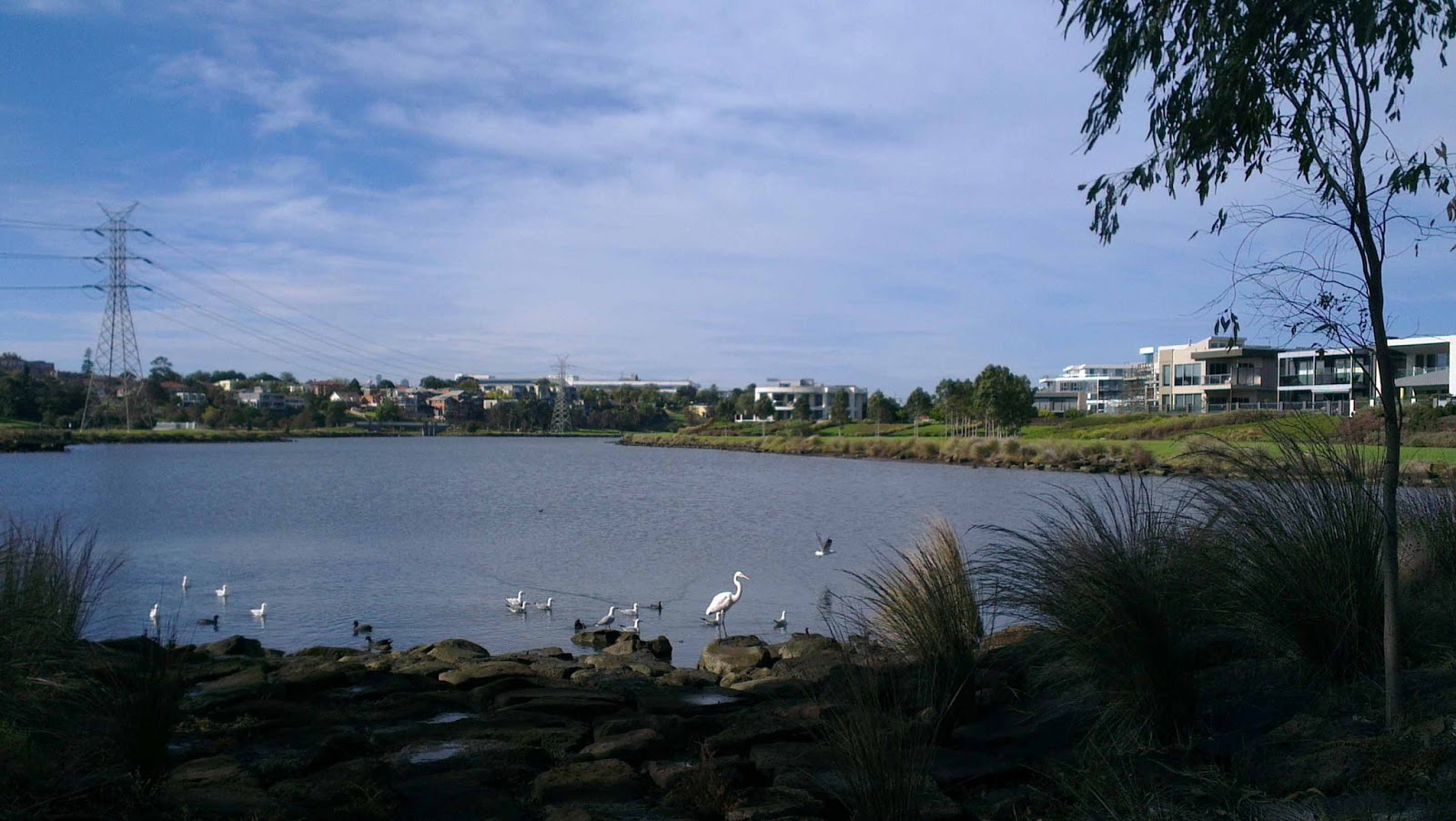 Cafe Boutique Review Edgewater