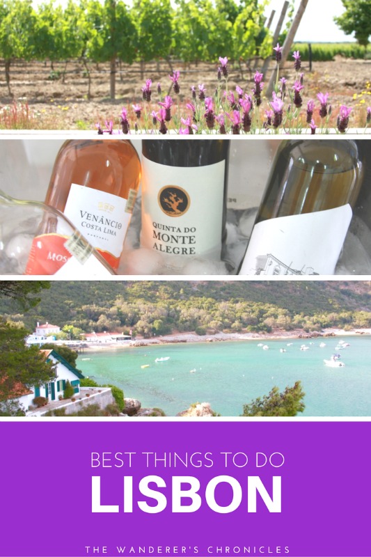 The Wanderer's Chronicles Best Things to Do in Lisbon Summer Wine