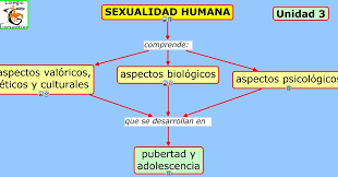 Aspectos de sexualidad humana
