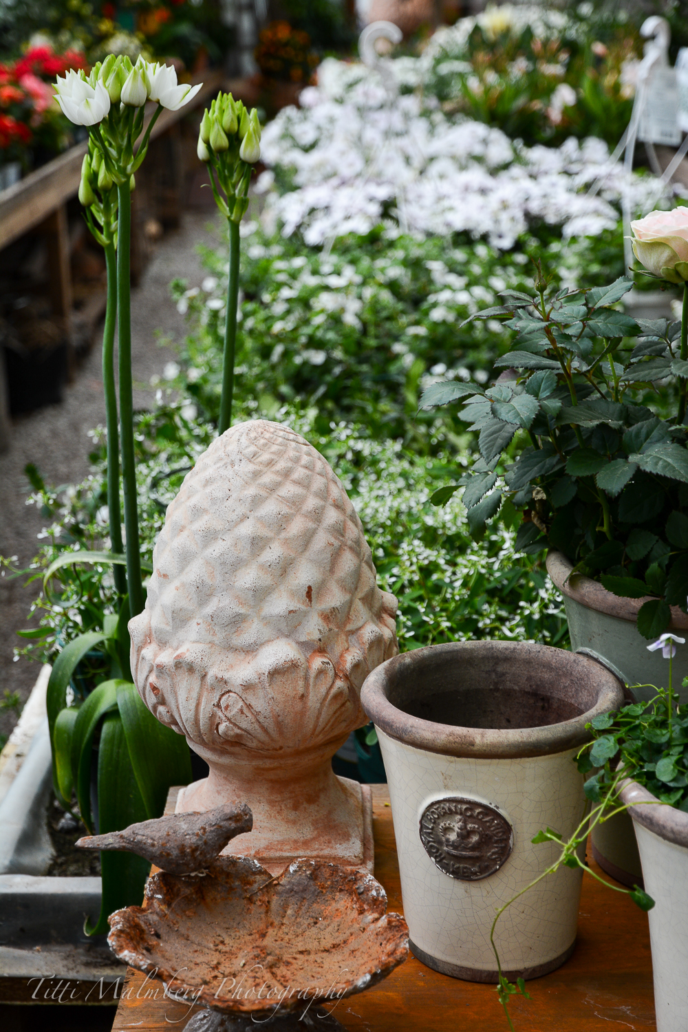 Eye For Design Decorating With Artichoke Decor