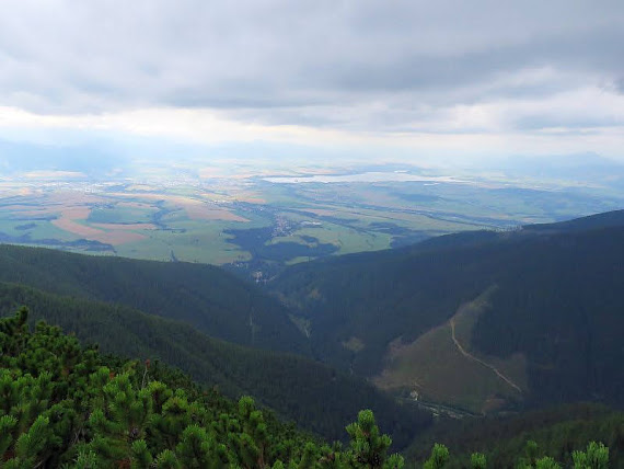 Żarska Dolina zarska