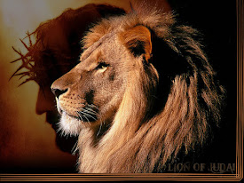 Click Lion of Judah For Something Amazing!