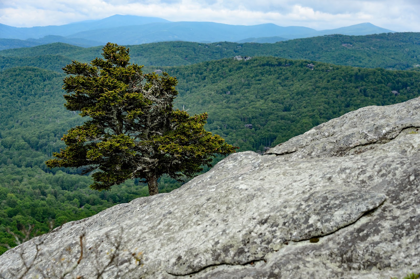 Bubba's Garage Grandfather Mountain Road Trip