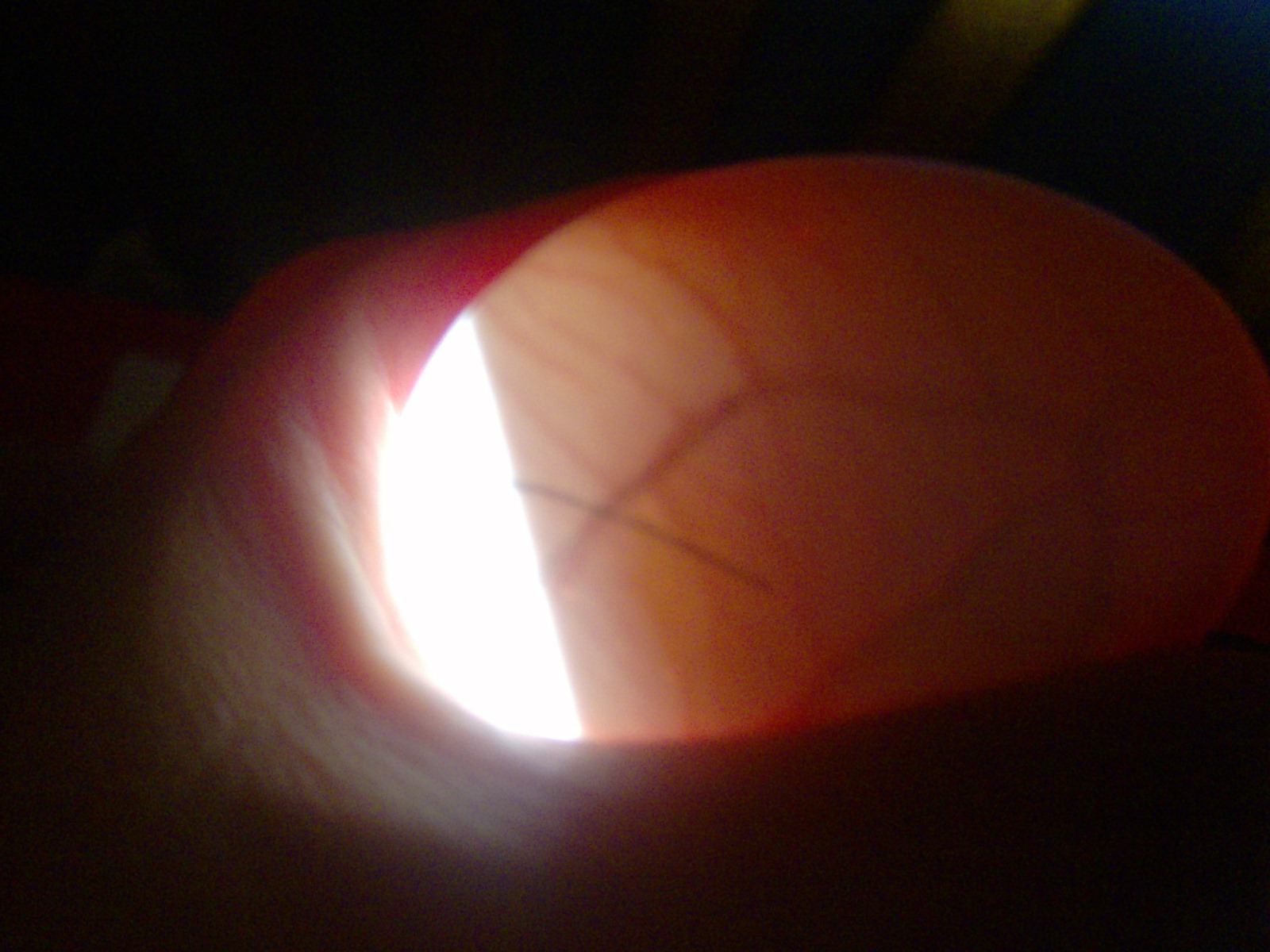 All about raising chickens! ** How I candle eggs and you can too