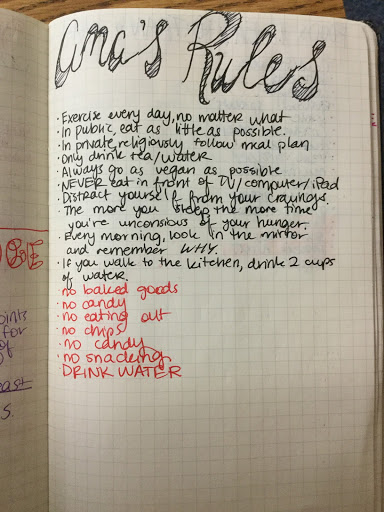 my proana bullet journal pro ana